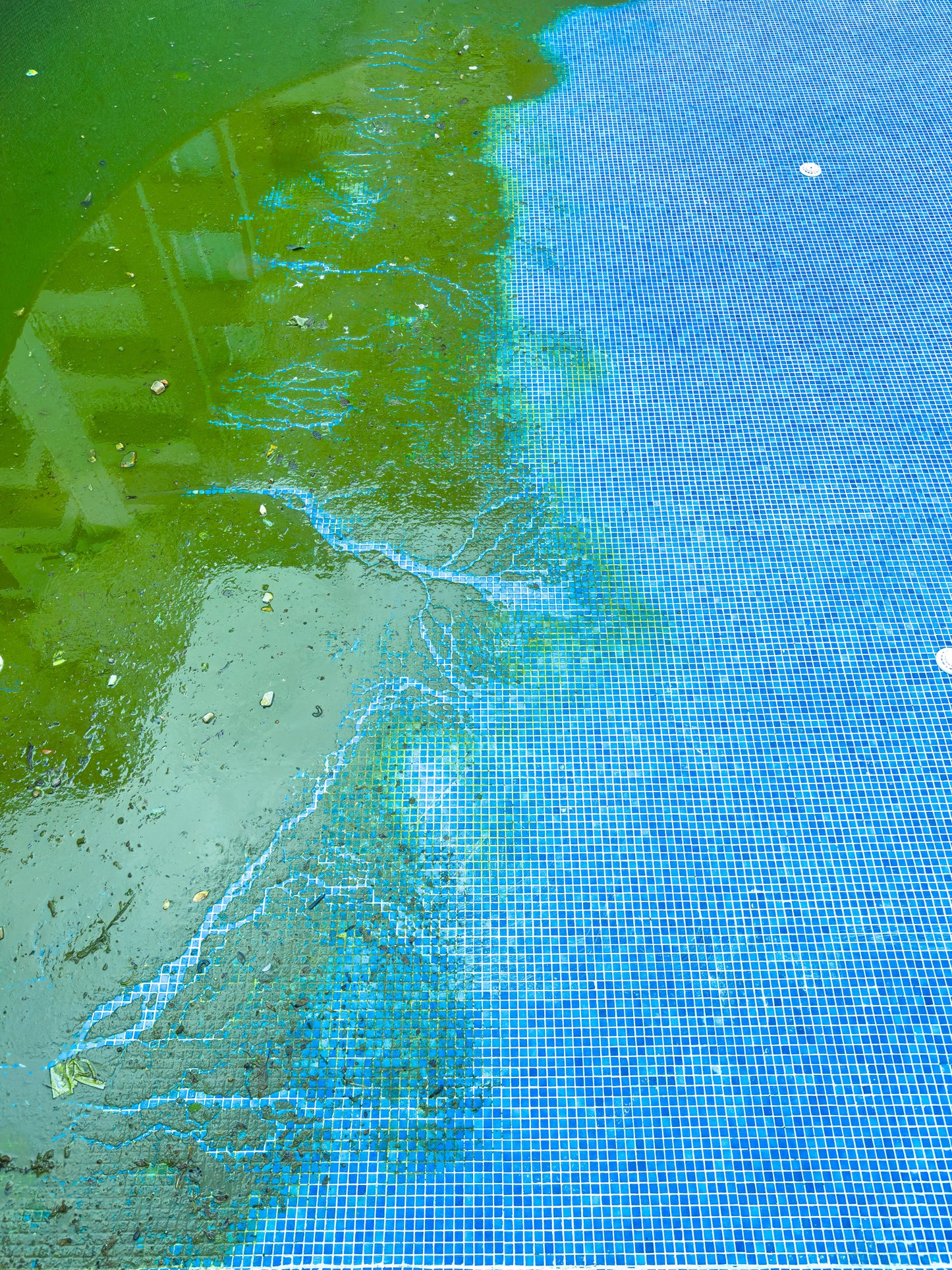 Green Pool Service Gold Coast